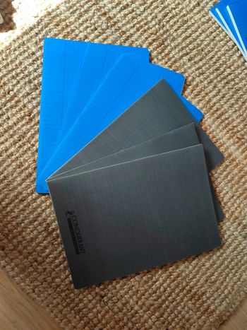Lot de 6 cahiers 21x29, 7