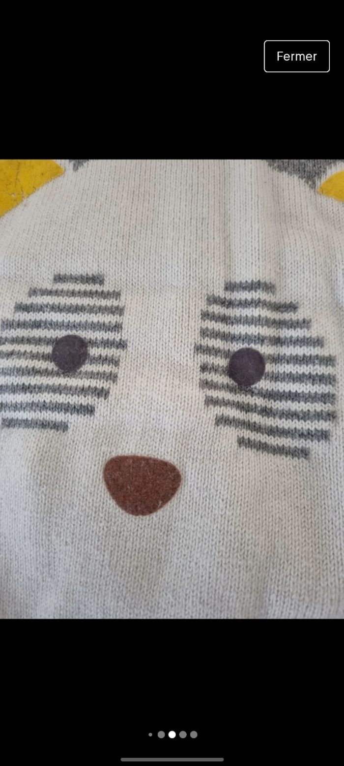 Pantalon & pull - photo numéro 5