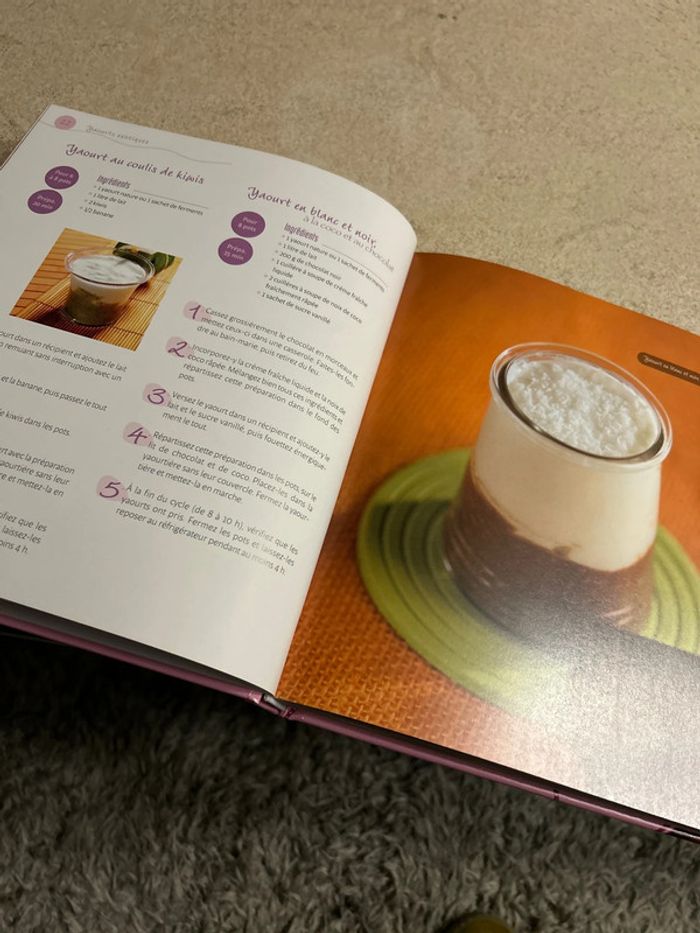 Livre recettes de yaourts et et crèmes - photo numéro 6