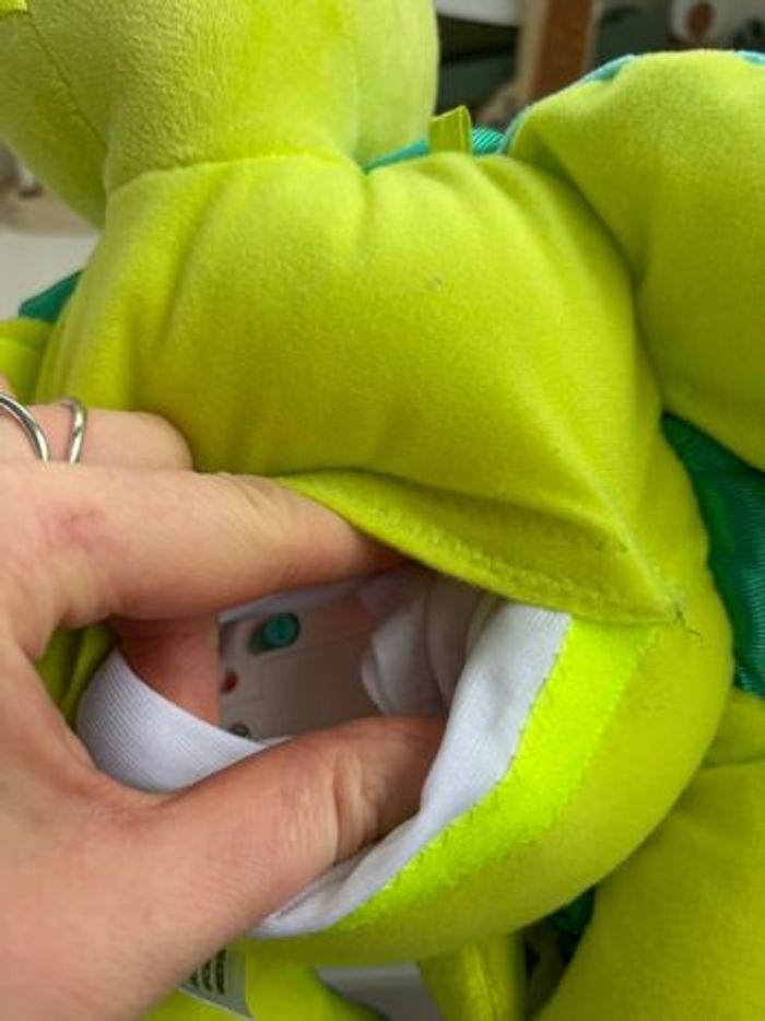 Juju la tortue - photo numéro 6