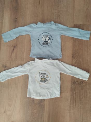 Lot de deux tee shirt 18/24mois