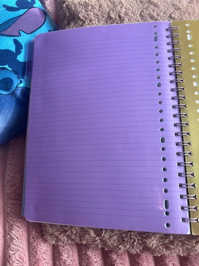 Cahier - photo numéro 4