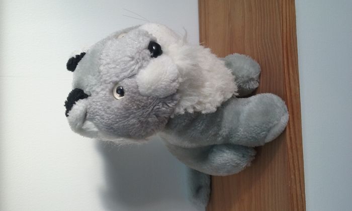 petite peluche lion