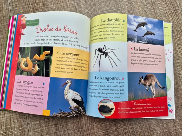 Lot de livres 5 ans en super état - photo numéro 6