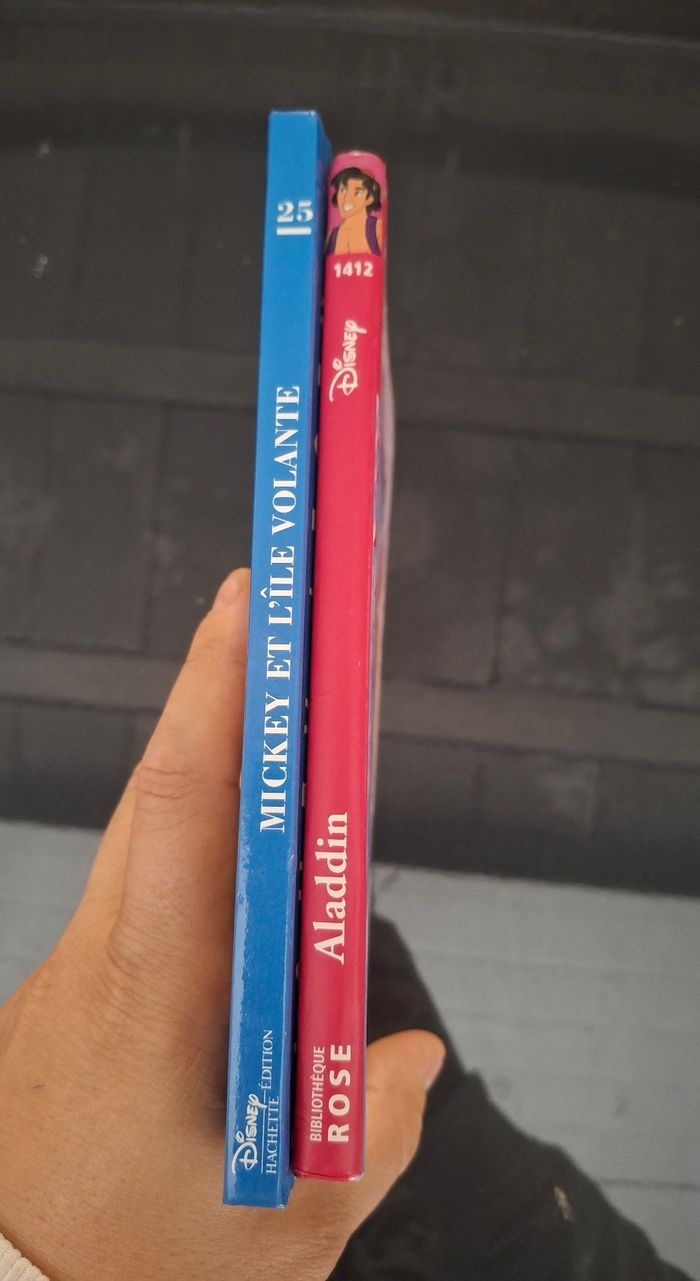 Livres enfants - photo numéro 3