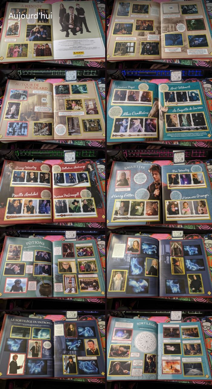 Panini - Harry Potter : Le manuel du sorcier (2021) - photo numéro 3