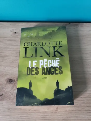 Le péché des anges