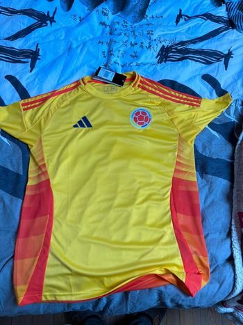 FAUX Colombie Maillot Domicile 24/25