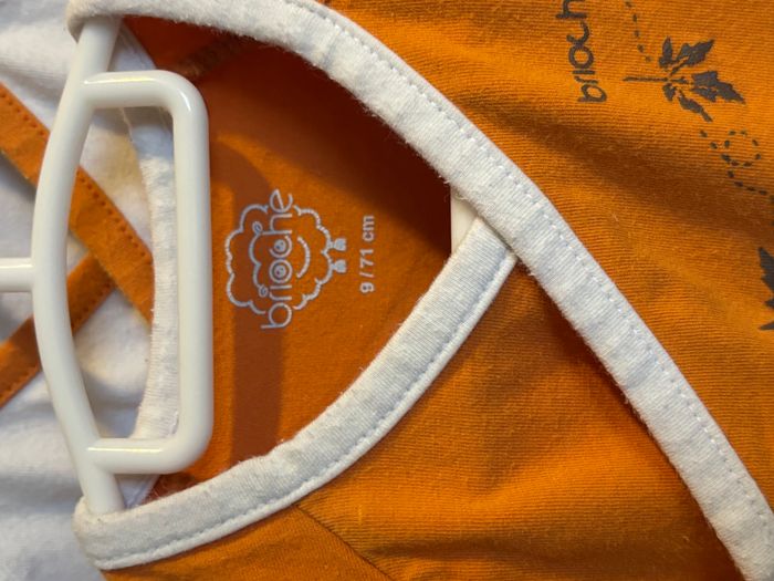 Lot bodies - photo numéro 3