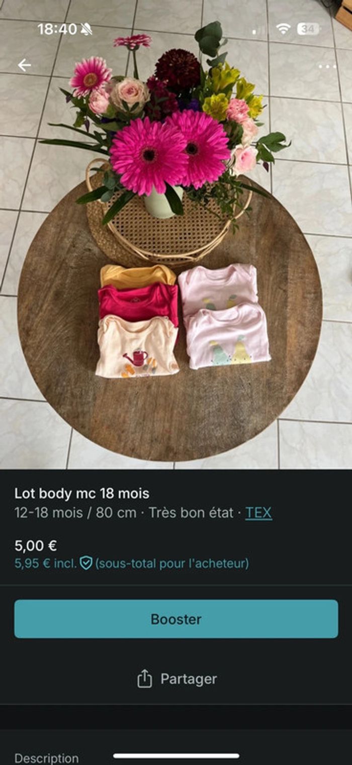 Lot bodies manche courte 18 mois