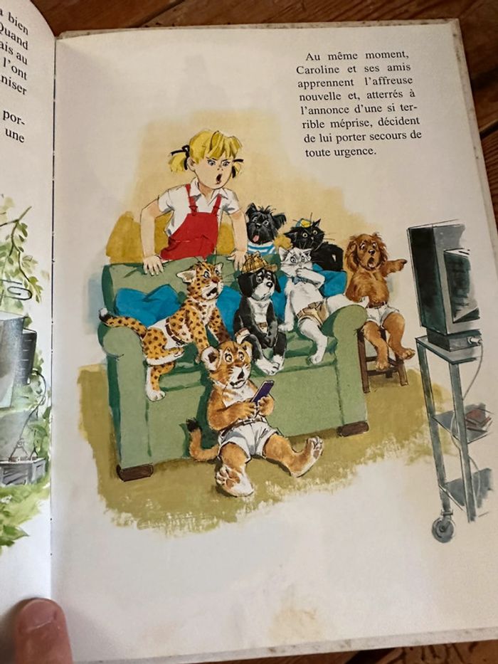 Livre Caroline et Boum ermite forêt voiture ours album bd Pierre Probst - photo numéro 5