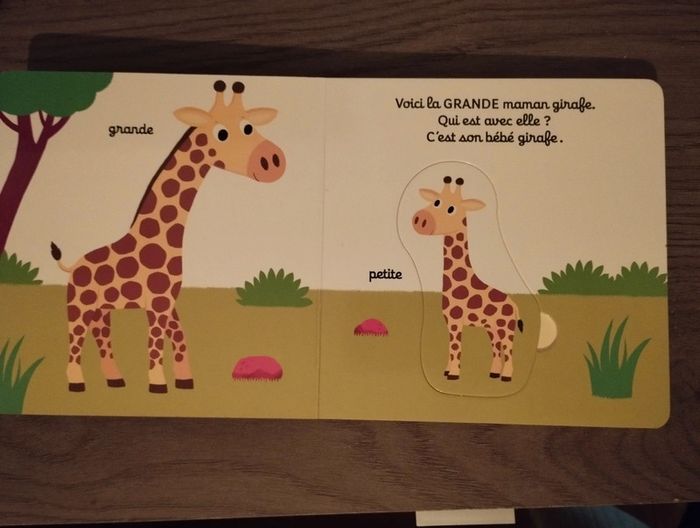 Livre neuf Mes premiers contraires kididoc - photo numéro 3