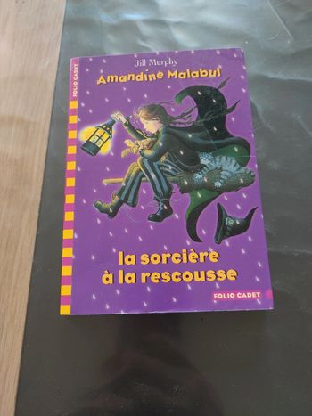 Livre la sorcière a la rescousse