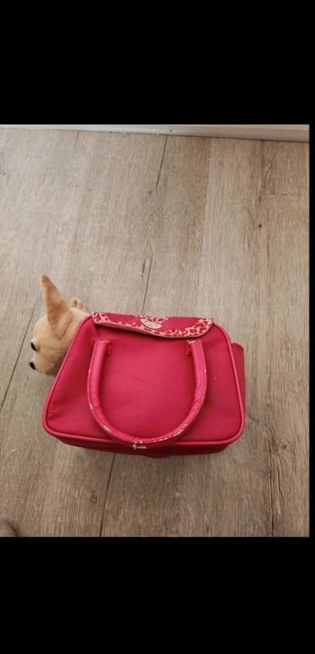 Chien avec sac