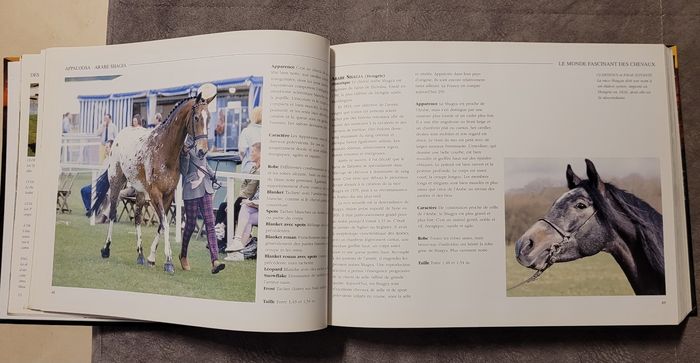 Le Monde fascinant des chevaux Magali Guenette - photo numéro 3