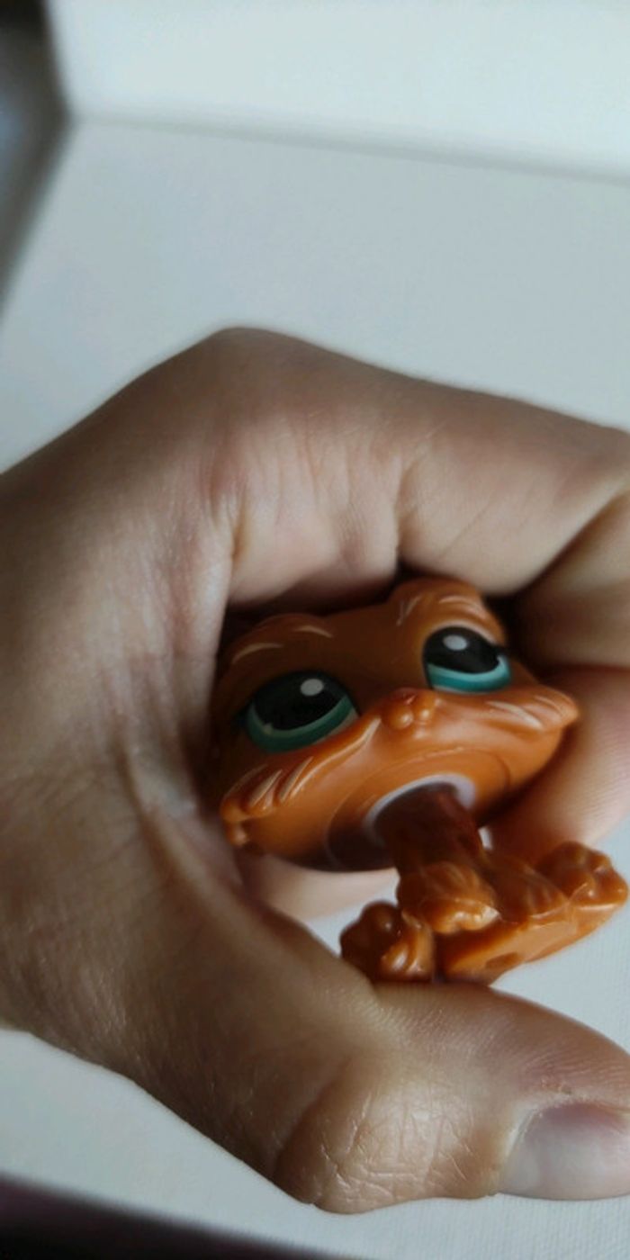 My littlest petshop chien lps Yorkshire 1407 - photo numéro 7