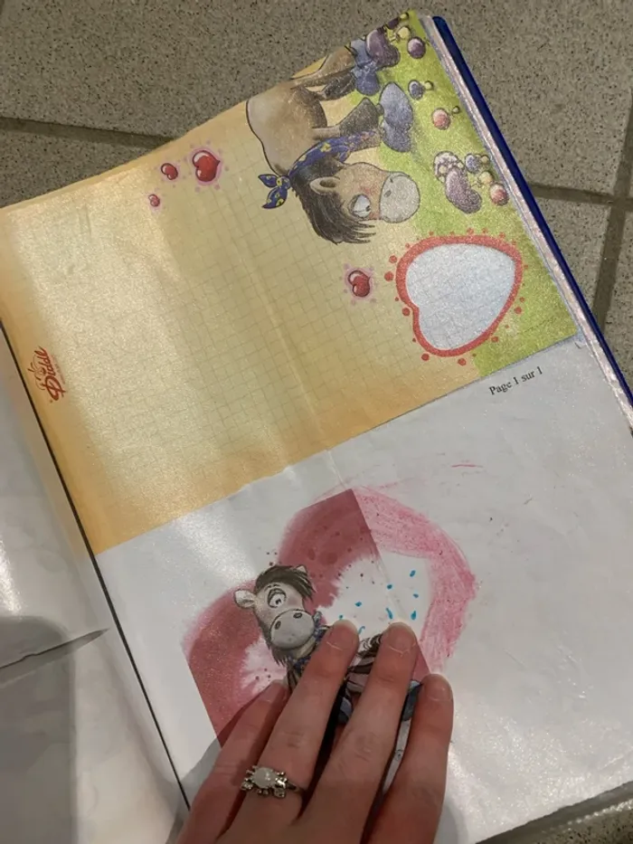 Classeur de feuille diddl - photo numéro 3