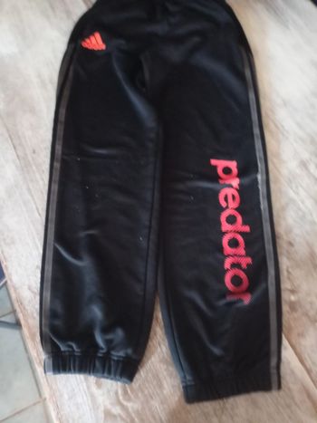 Bas de jogging Adidas Predator