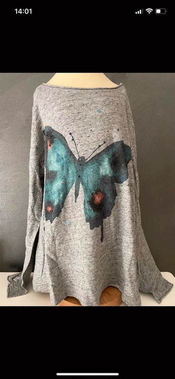 Switshirt gris papillon