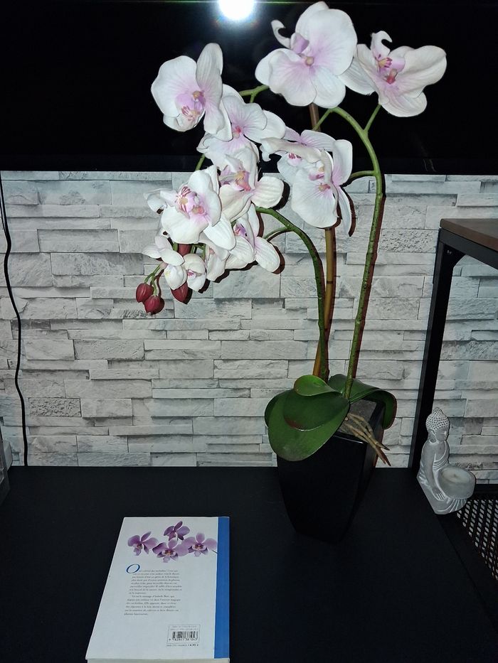 Orchidée artificielle avec livre