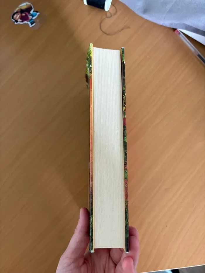 Livre grand format - photo numéro 3