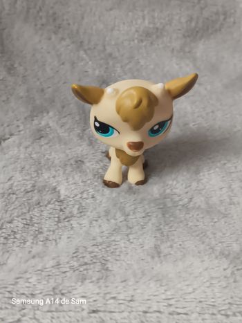 Petshop chevre 1316