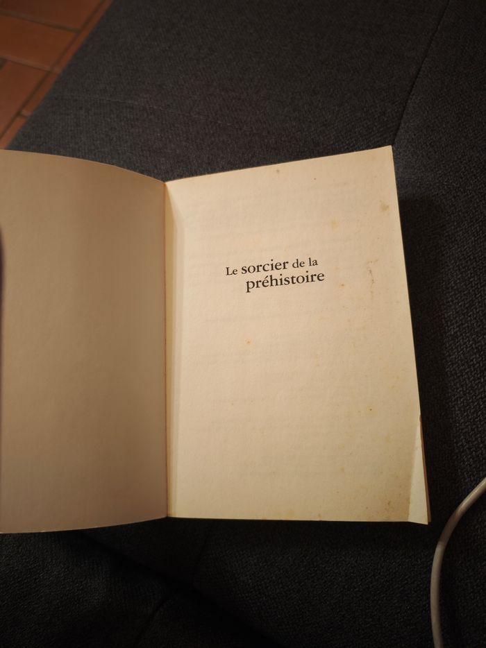 Le sorcier de la préhistoire (La Cabane Magique) - photo numéro 3