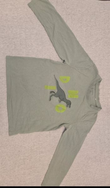 Manche longue dinausaure 