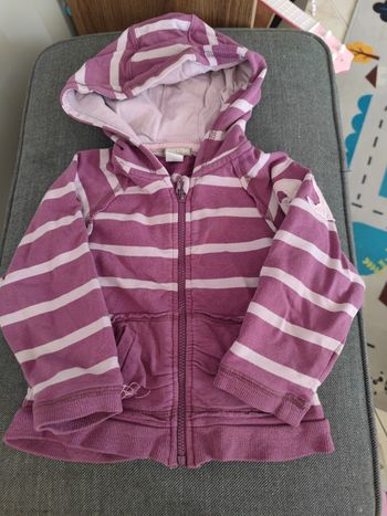 veste violette