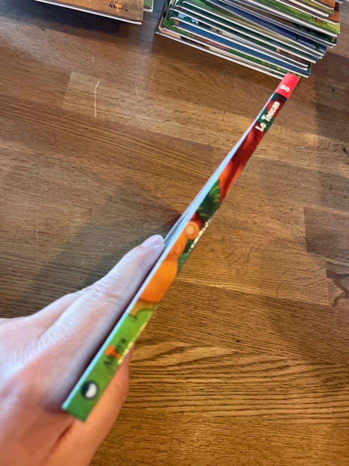 Livre Altaya Le monde des animaux Sauvages Animaux de la savane Le Toucan - photo numéro 2