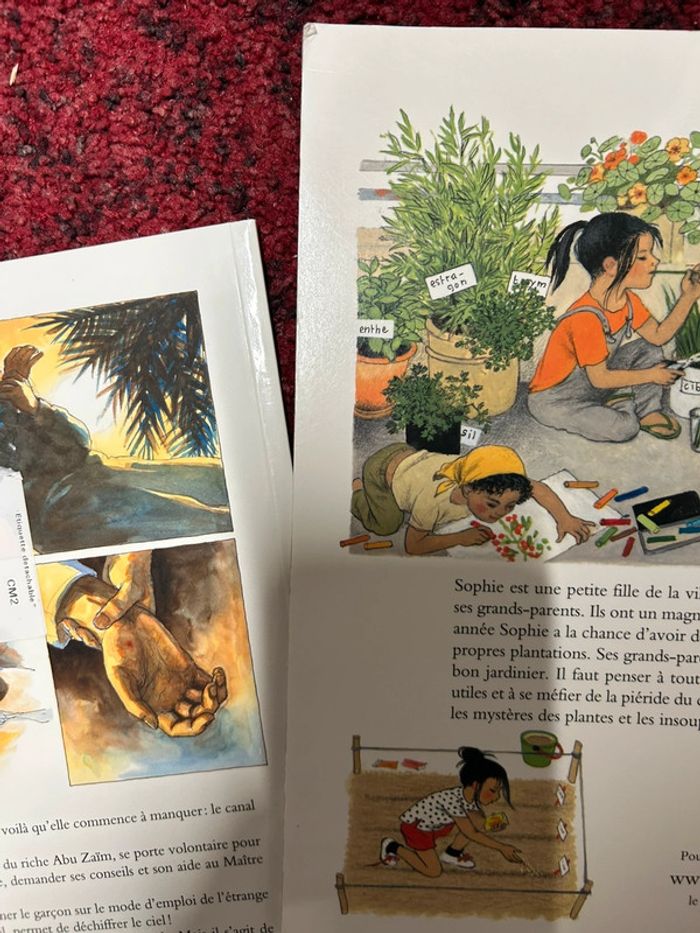 Lot 2 livres école des loisirs des Max - photo numéro 7