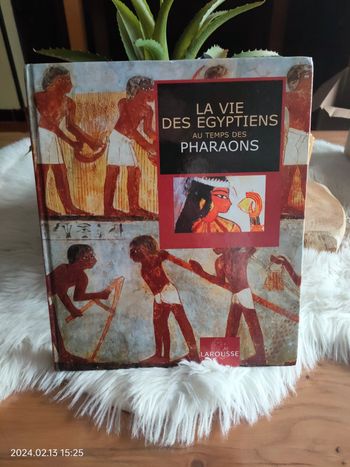 Livre la vie des Égyptiens au temps des pharaons