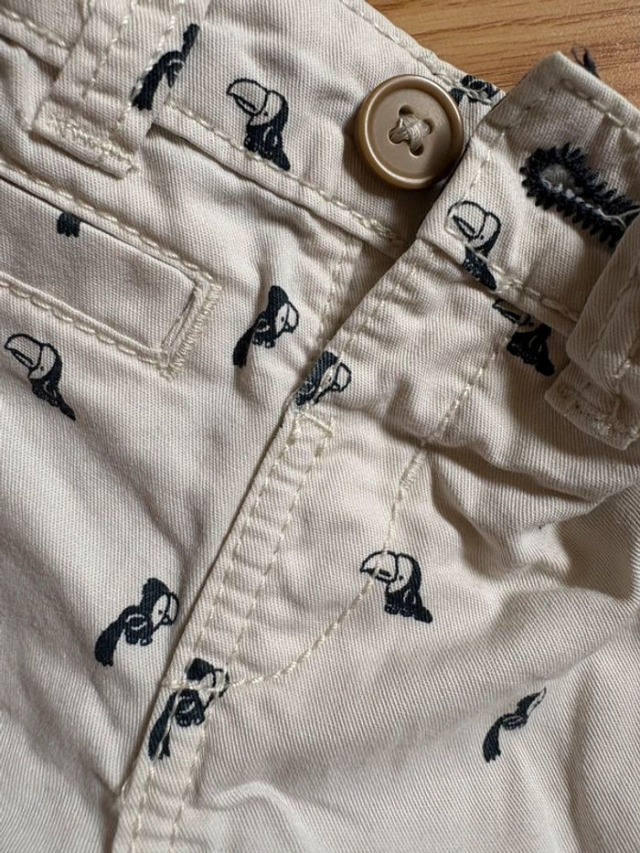 Short perroquet - photo numéro 2