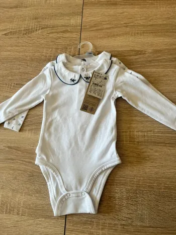 Lot 2 bodies