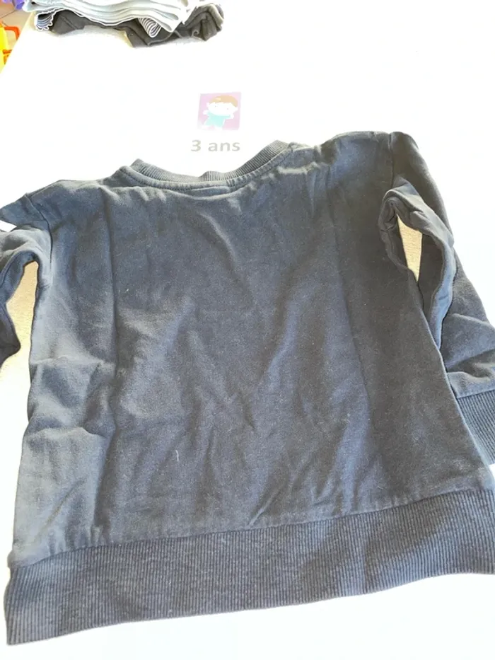 Tee shirt sweat Tao 3 ans - photo numéro 4