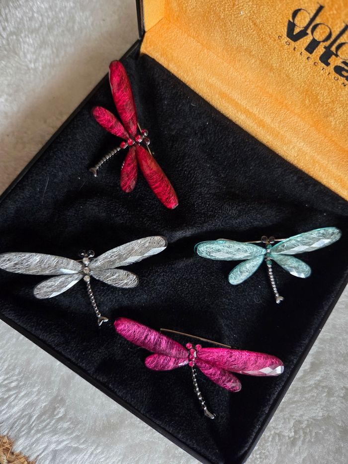 Libellules butineuses multicolores - photo numéro 2