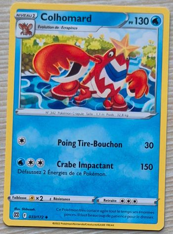 Colhomard Stars Étincelantes