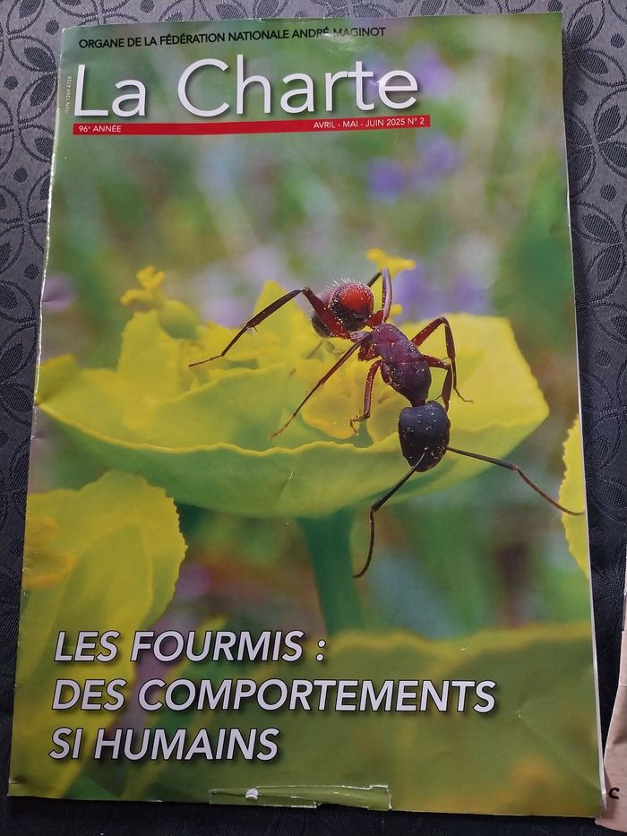 Revues magazines La Charte - photo numéro 4