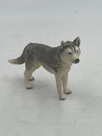 Figurine Papo Husky de Sibérie N•54035