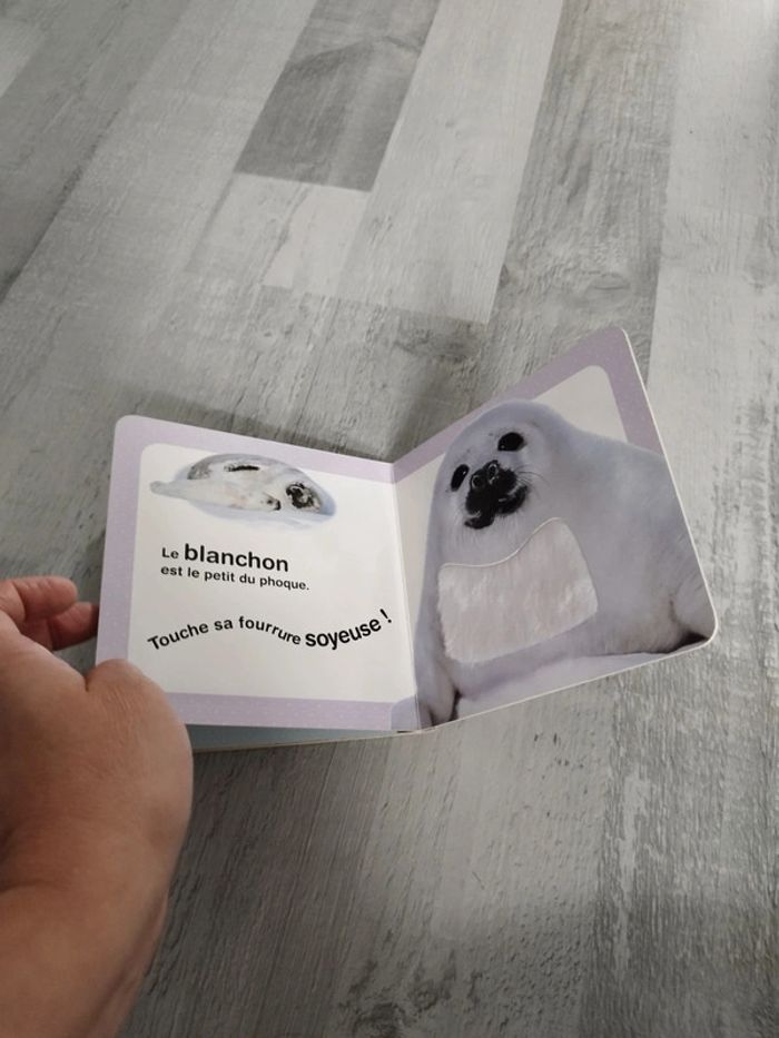 📖 Animaux câlins - photo numéro 9