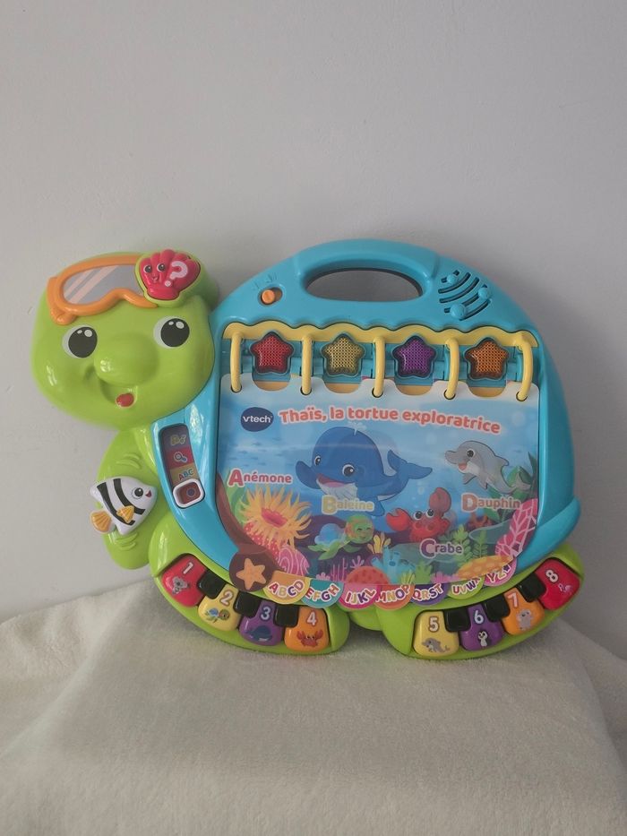 Thaïs la tortue exploratrice.