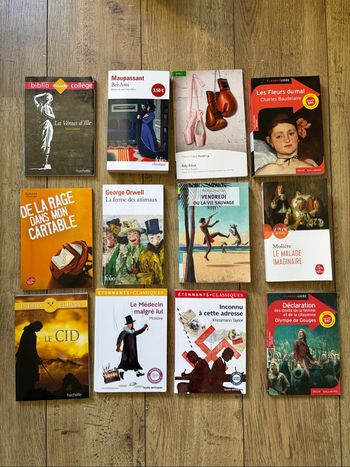 Lot de livres