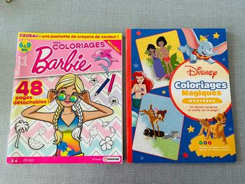 Lot livres coloriages
