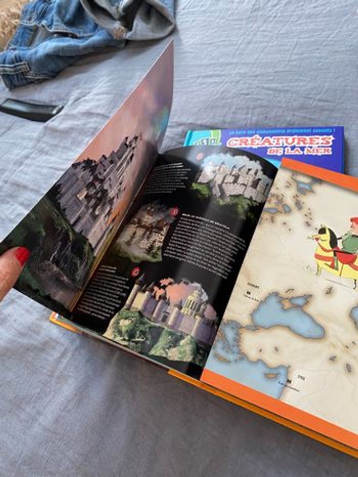 Lot de 2 livres 123 Topdoc Fleurus - photo numéro 6