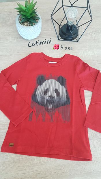 Tee shirt catimini 5 ans