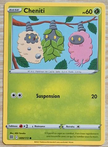 Cheniti Stars Étincelantes