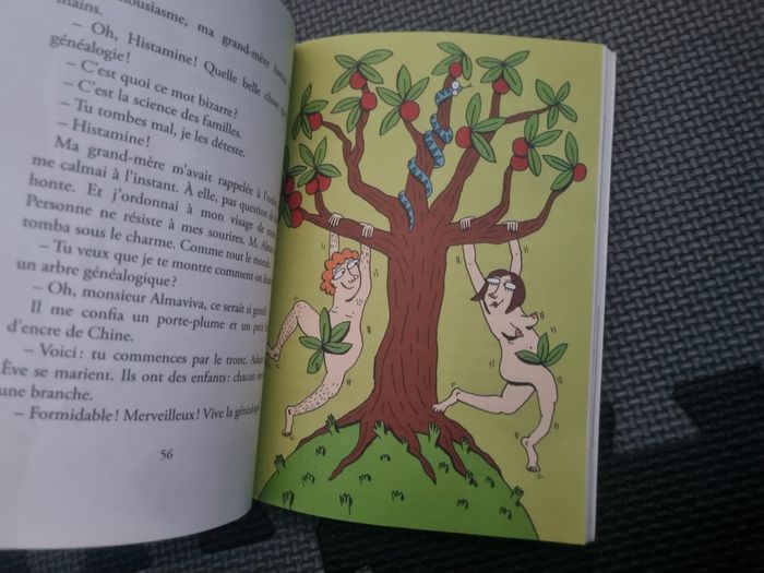 Livre lecture avec jeux Princesse Histamine à partir de 8ans - photo numéro 9