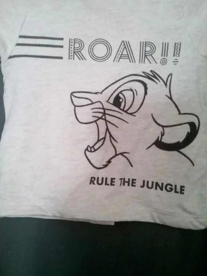 pull le roi lion - photo numéro 2