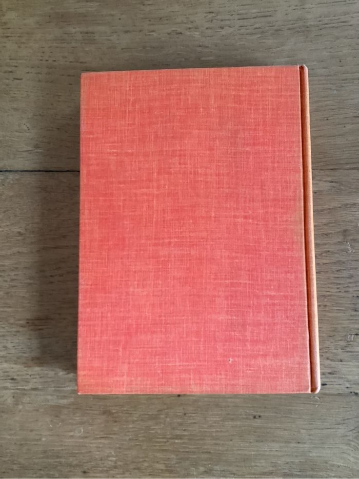 Livre « graine de cow boy » - photo numéro 3
