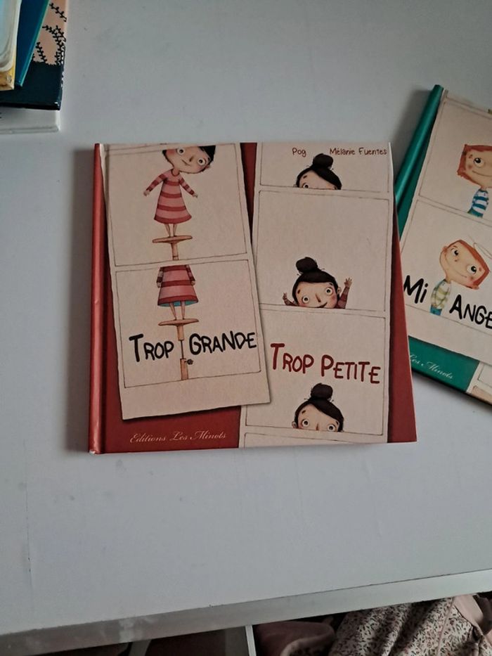 Lot 2 livres Mélanie Fuentes - photo numéro 2
